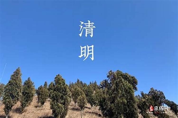 清明节是每年的几号阳历