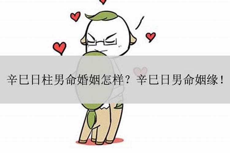 鸡与蛇的婚姻