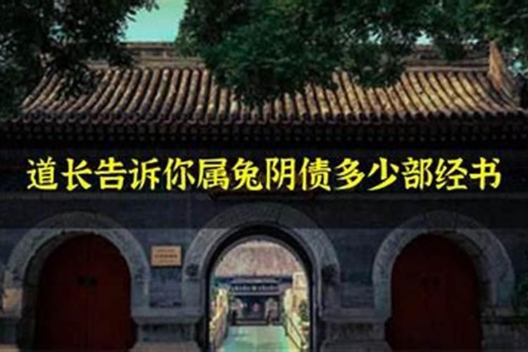 十二生肖中五六是什么生肖