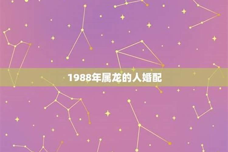 1988年龙婚配表