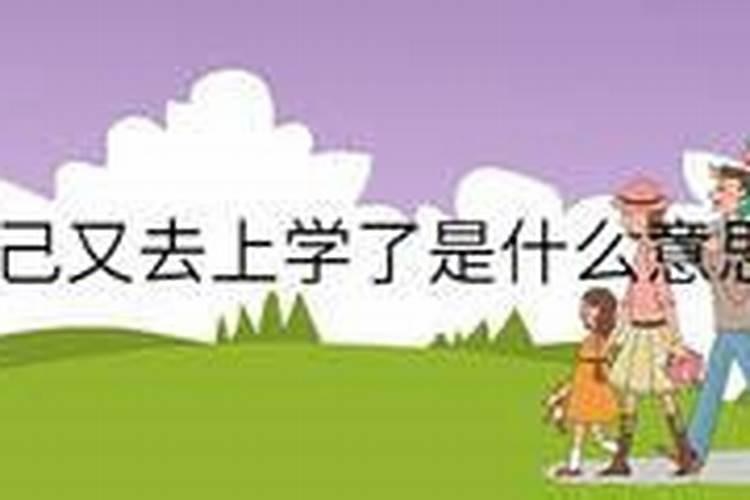 梦见回初中学校上学