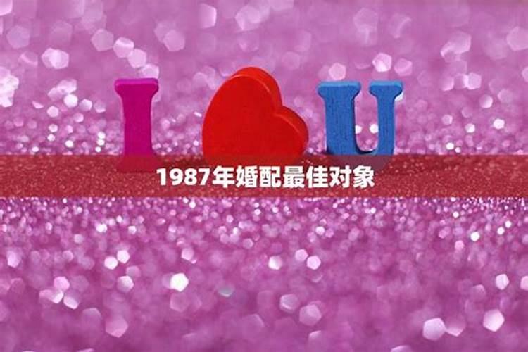 1988的婚配