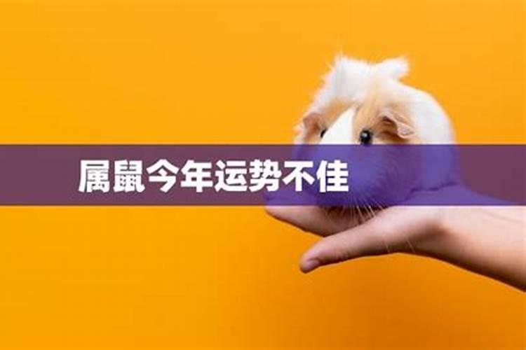 属猪和属狗的2021年适合结婚的日子是