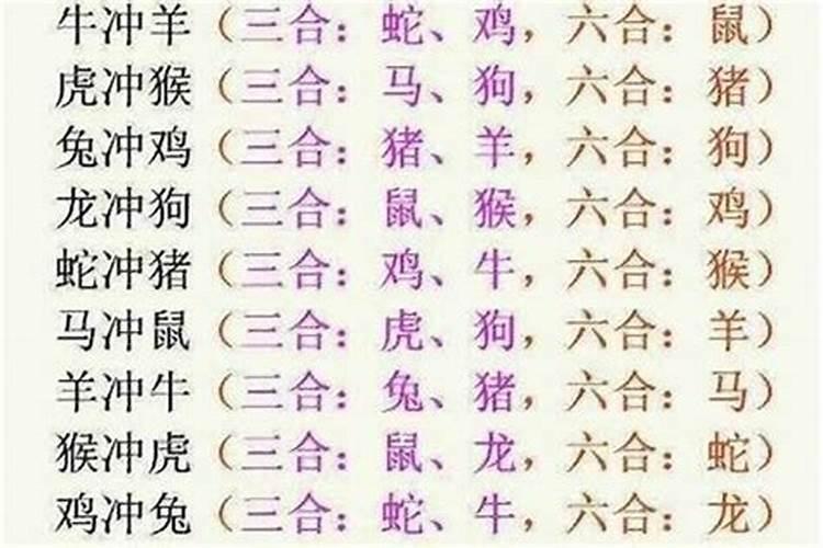 属龙和属虎的八字不合