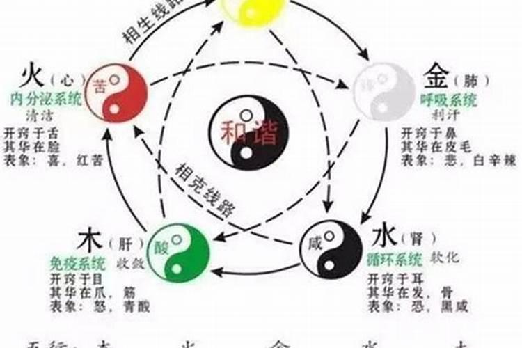 阴阳五行的相生相克的关系