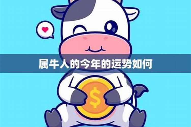 今年属牛人的2021运势怎么样