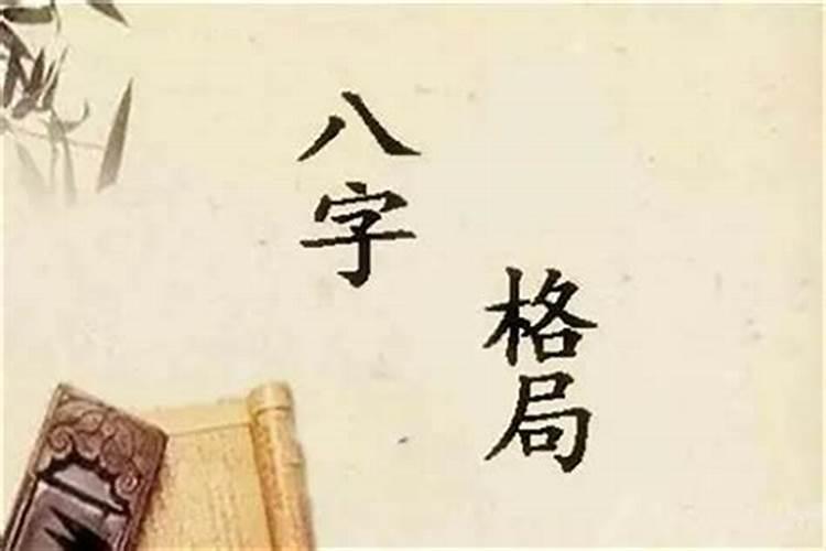 八字合提纲是什么意思