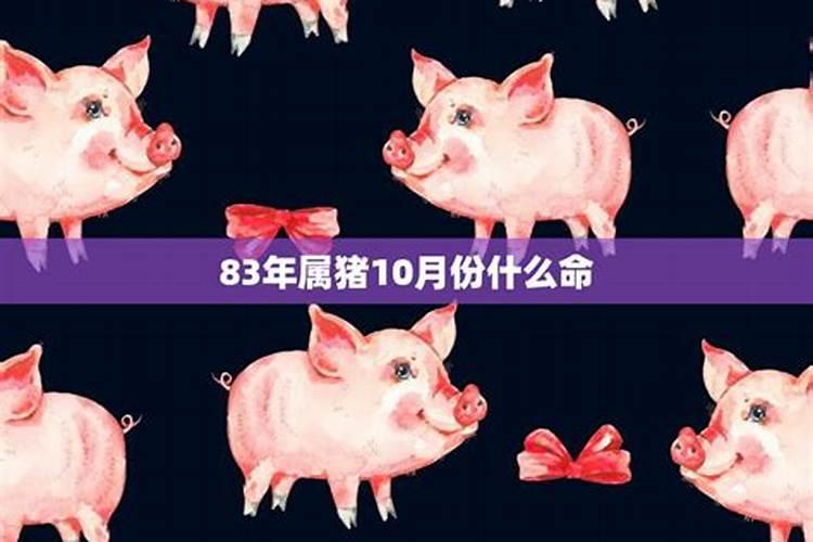 1983年属猪的10月运势怎么样