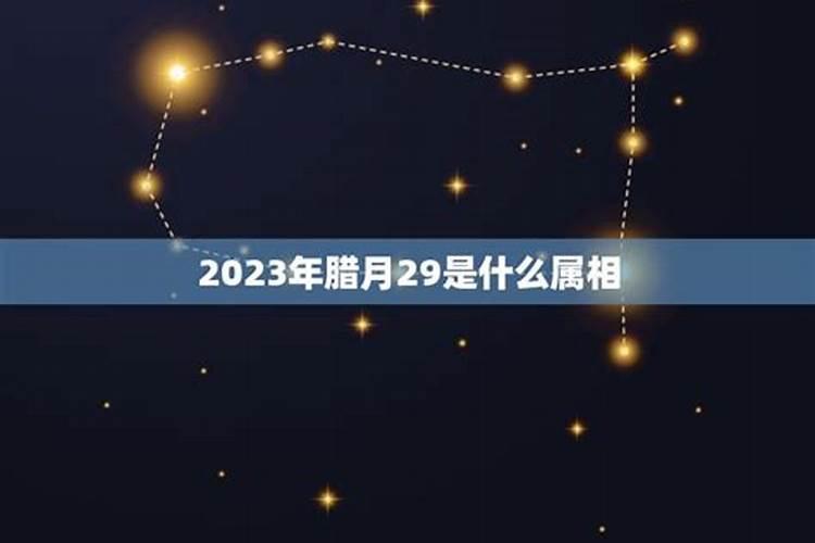 2023农历腊月属什么生肖