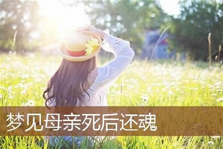 梦见妈妈变得很老实什么意思啊