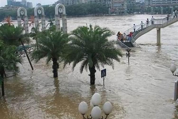 做梦梦见下雨发洪水