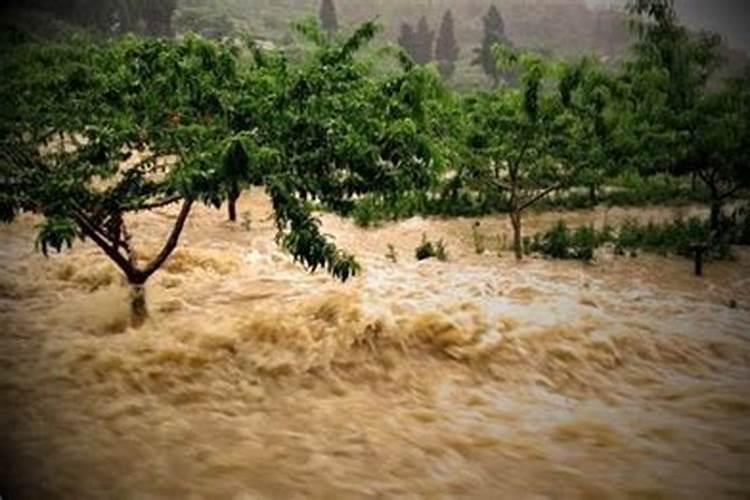 梦见下雨发洪水什么意思