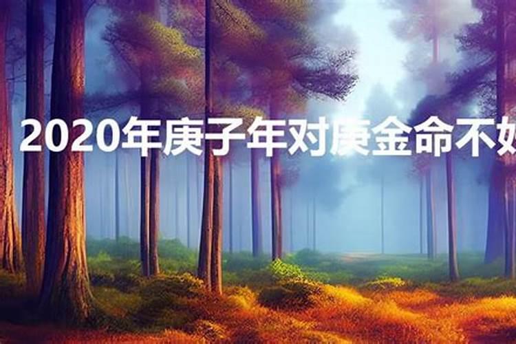 庚金2020年运势