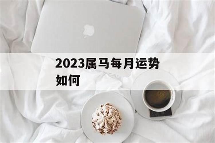 属马人在2023年的每月运势