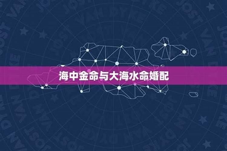 海中金命婚配海中金