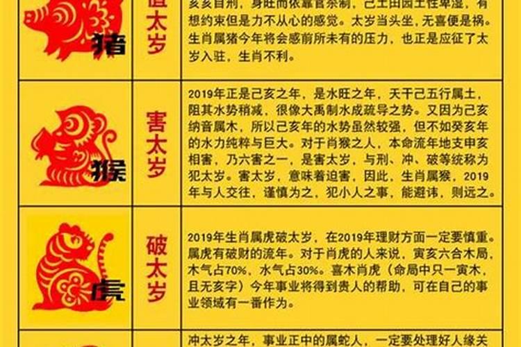 十二生肖12月25号运势如何