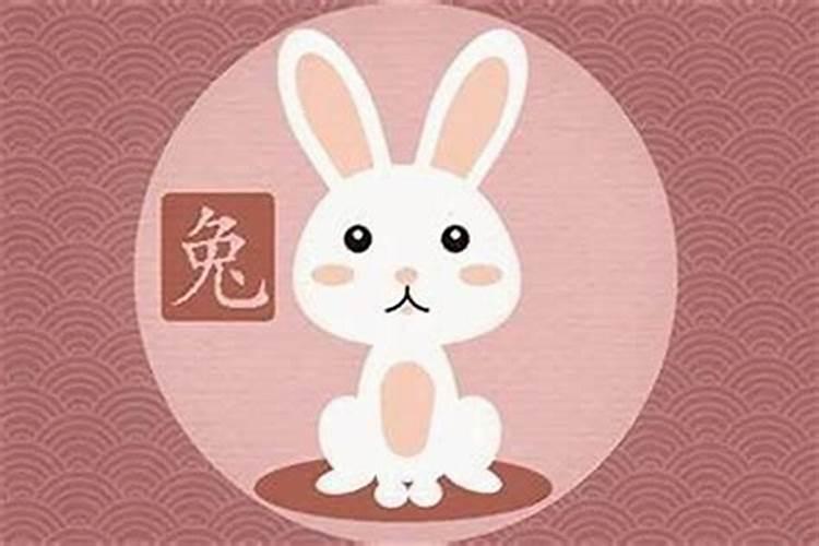 属兔的今年的婚姻如何