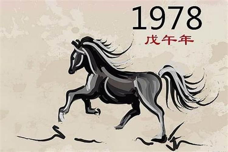 1978年2月初六生马命运