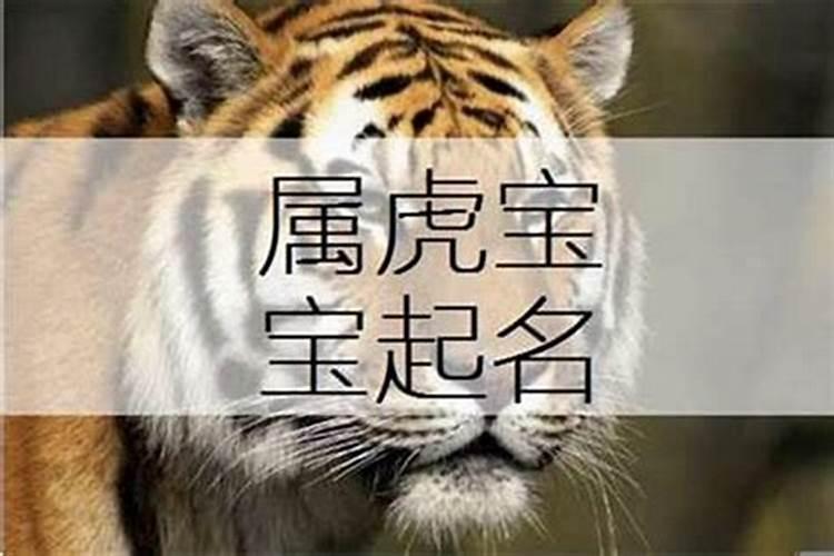 男孩子属虎叫什么名字