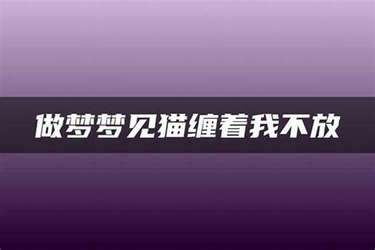 梦见前夫缠着我不放手什么意思呢