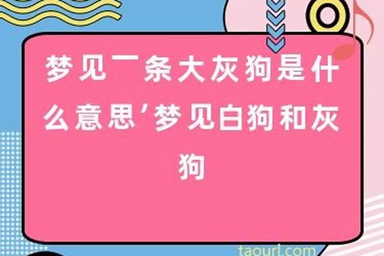 梦见自己怀孕生了一个小女孩