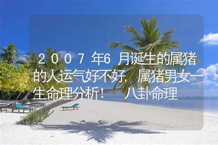 属兔6月的运气