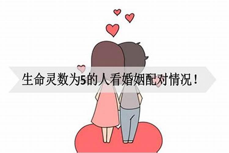 做梦梦到小学同学欺负我