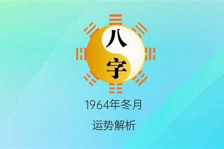 属马2023年什么属相犯太岁