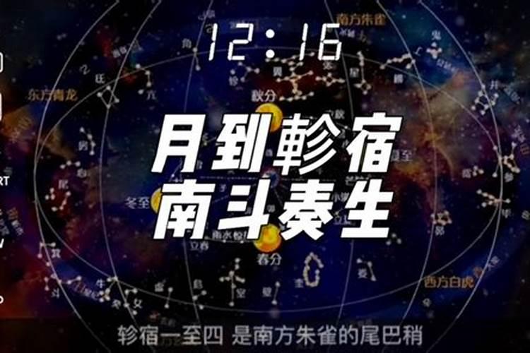 2023农历11月属什么生肖运势好