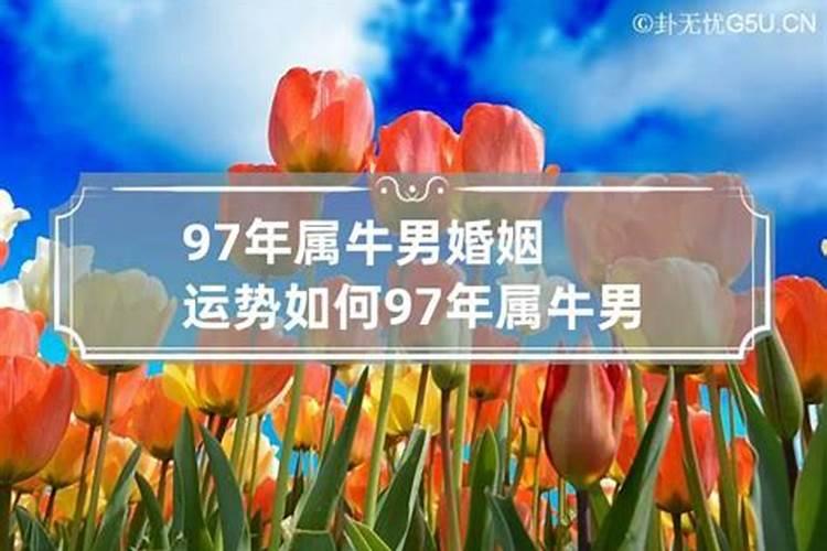 94年男一生运势