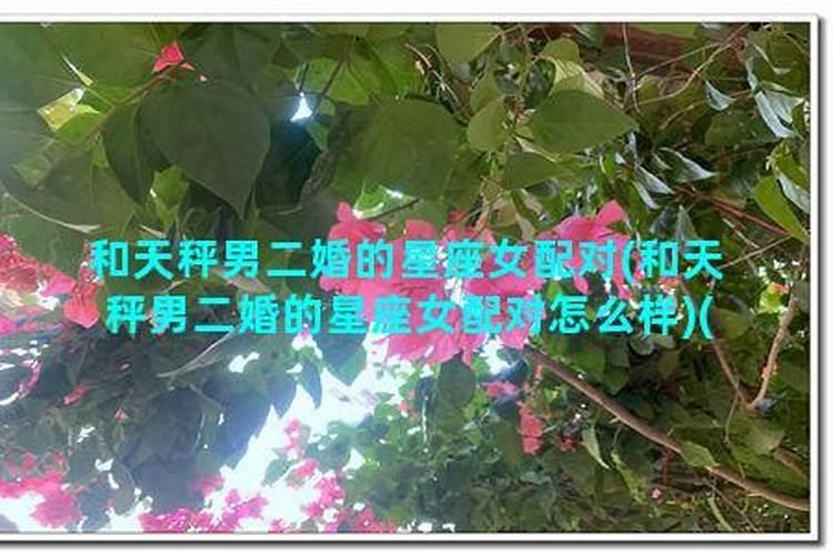 二婚合婚是什么意思