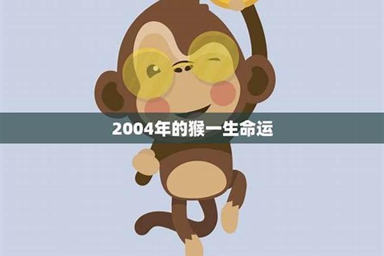 2004年属猴一生命运如何