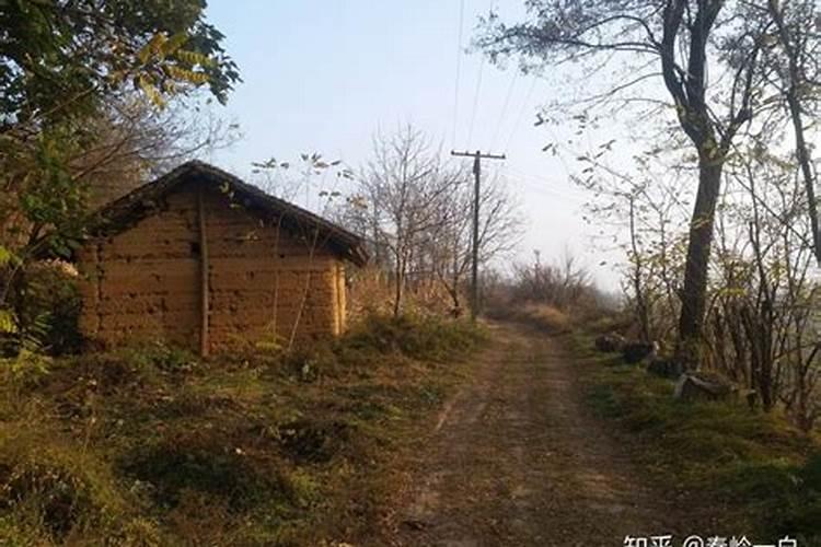 猪属相适合居住的楼层