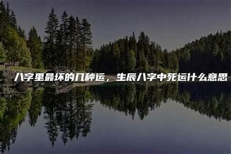 91年正月初一阳历是几号生日