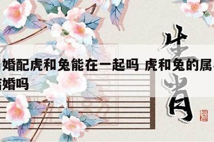 虎和兔的属相适合结婚吗