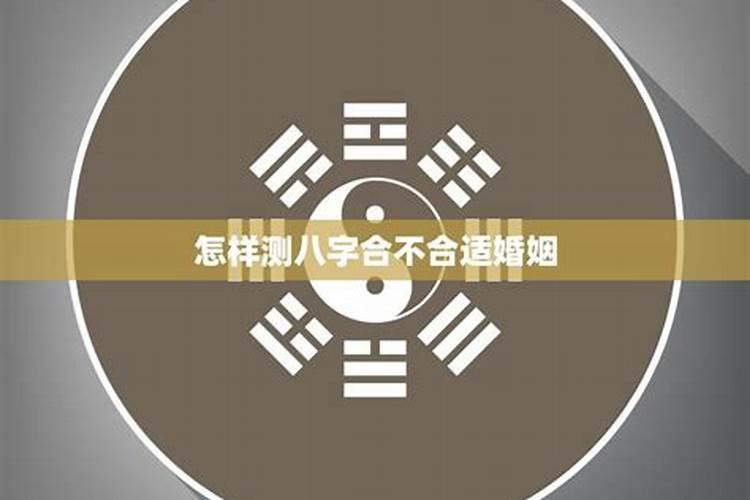 犯太岁化解方法2024蛇