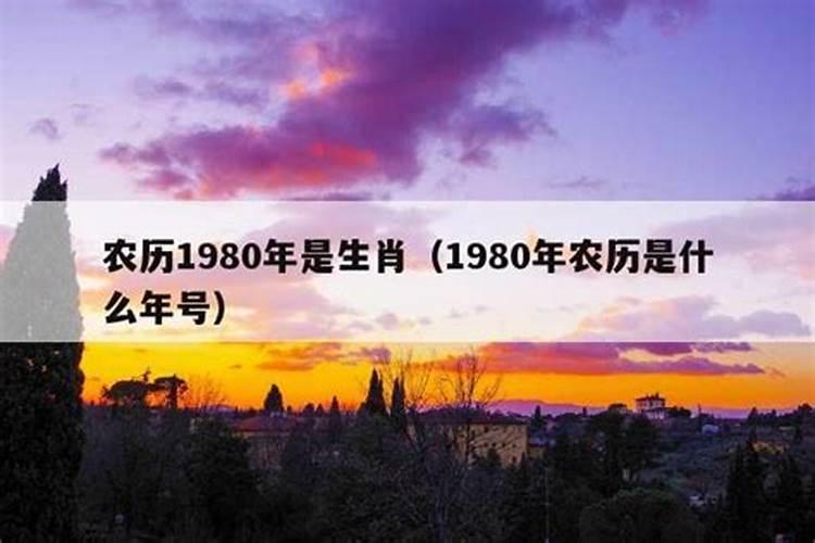 1980年什么时候立春