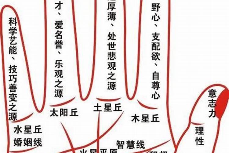 离婚男人梦见前妻跟自己离婚什么意思