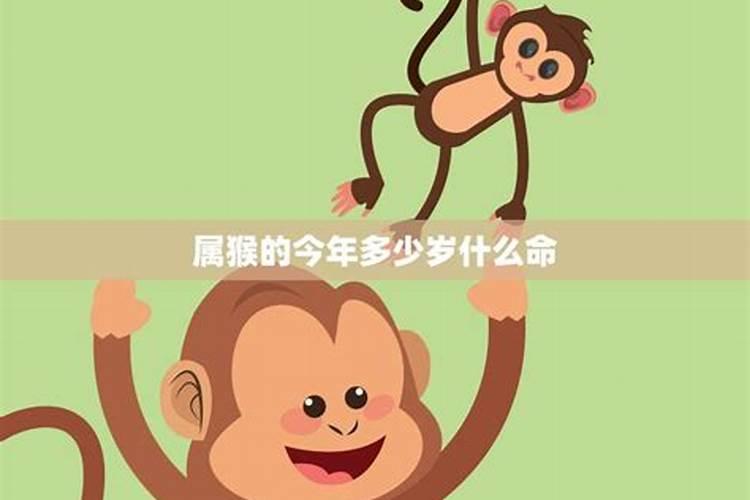 属猴男人今年运势2021年每月运势