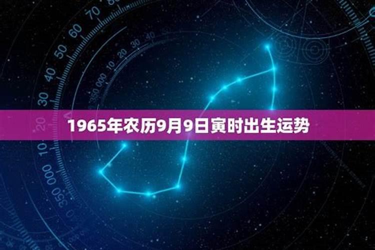 1996属鼠2023年运势