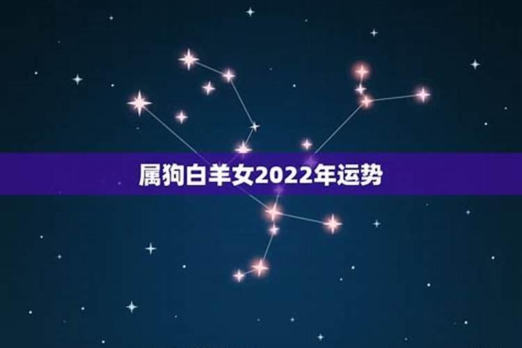 属狗的女2020年财运各方面怎么样