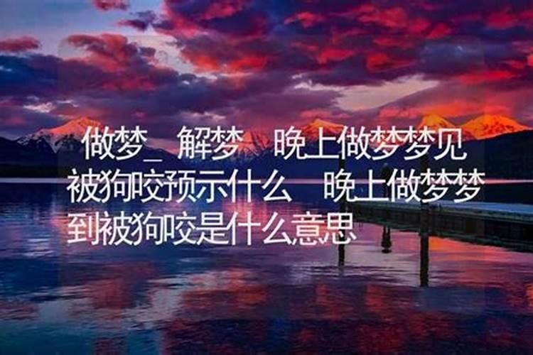 梦见什么最好