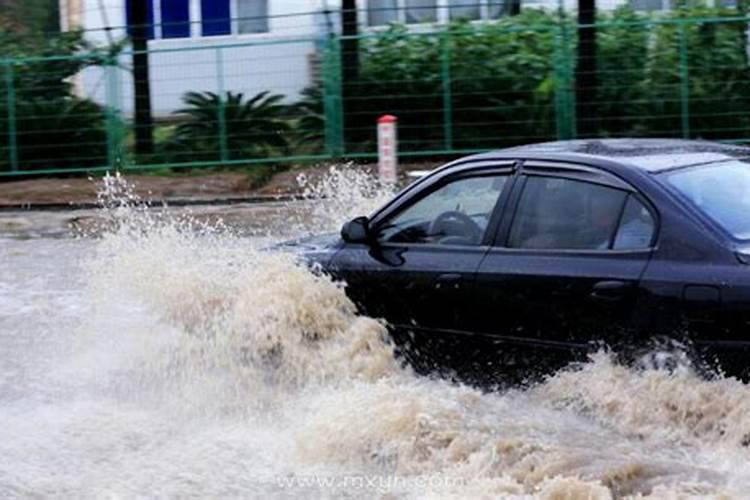 梦到涨大水下大雨