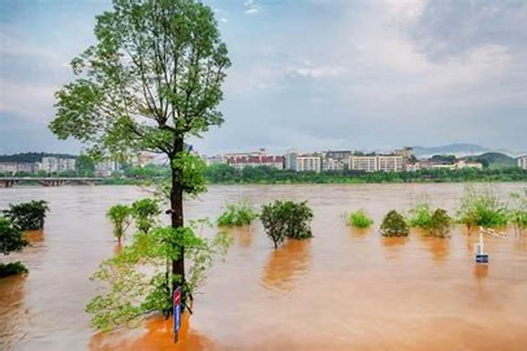 梦到涨大水下大雨