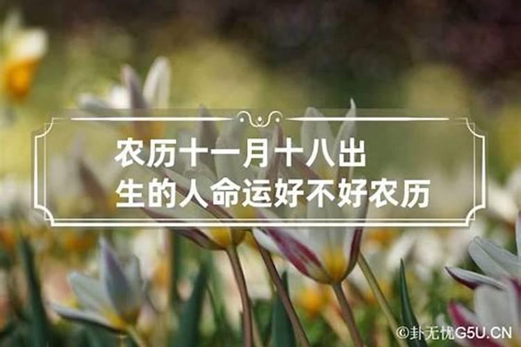 农历正月十一出生的人命运怎么样