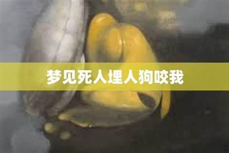 梦见死人家狗咬我意解梦