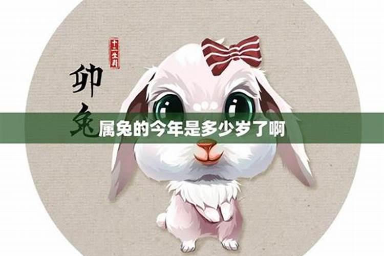 今年54岁属兔今年运势