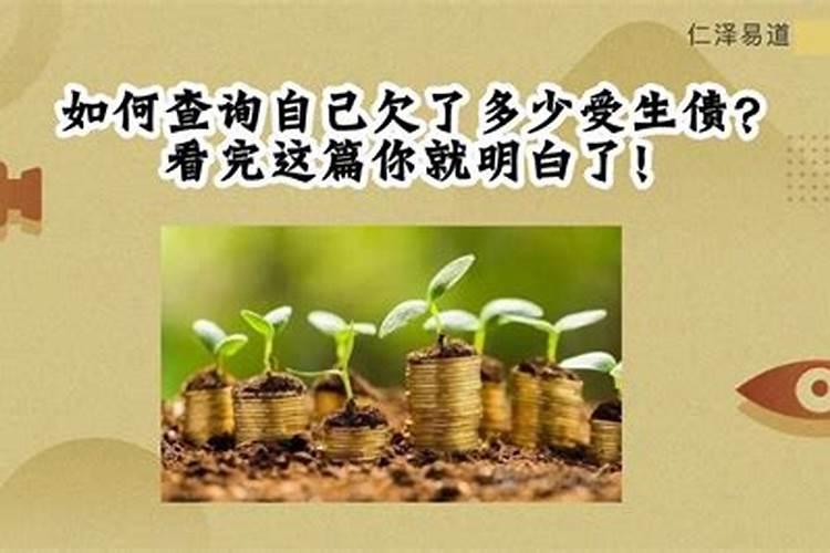 2019蛇冲太岁注意什么