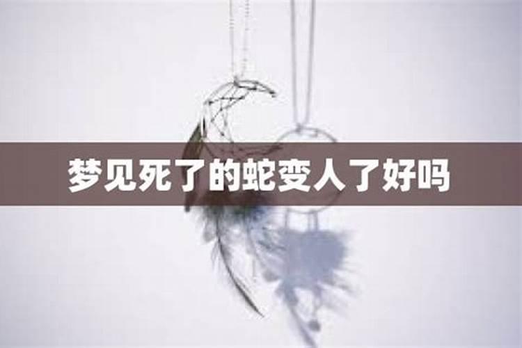 总是梦到死了的人活了