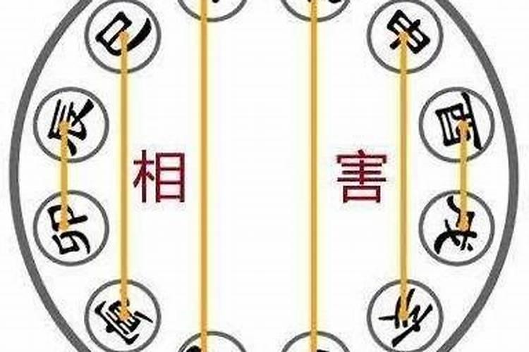 八字命理相害